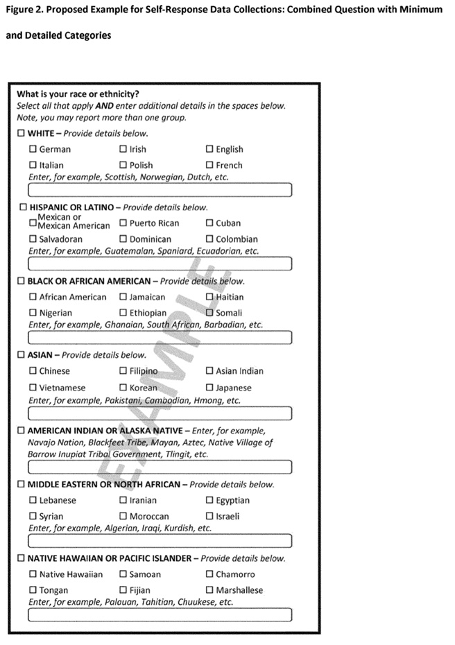 Proposed Example of Combined Race/Ethnicity Questions